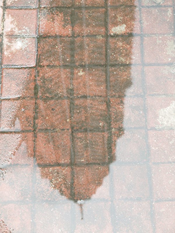 Petronas Twin Towers